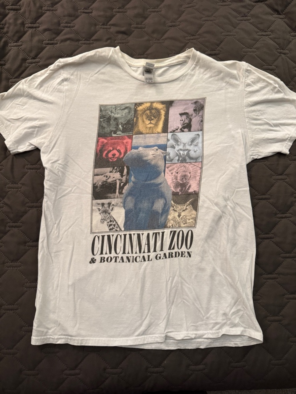 Gildan White Cincinnati Zoo & Botanical Garden X Taylor Swift T-Shirt